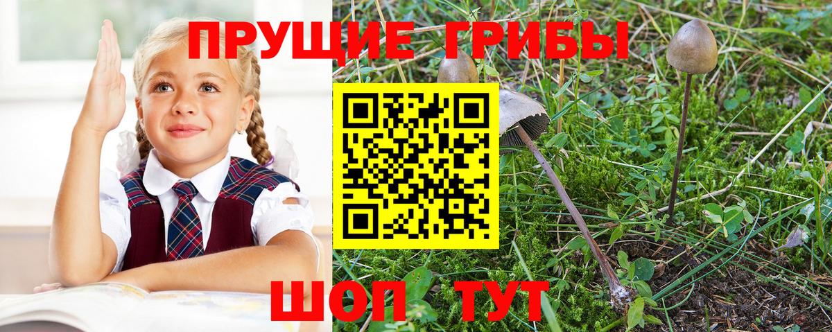 Псилоцибиновые грибы MAGIC MUSHROOMS Красногорск